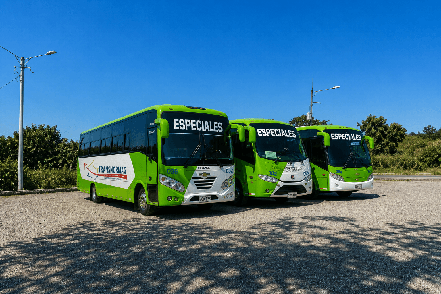 Bus Transnormag en operación — transporte especial en Colombia